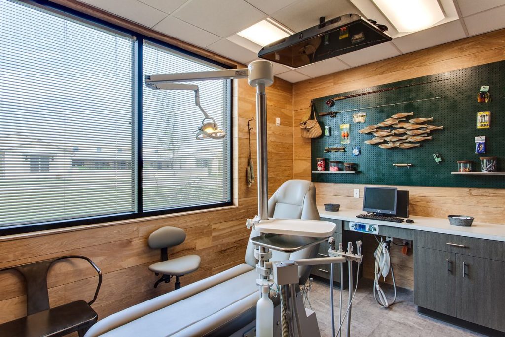 Smiles of Drippings Springs fishing themed dental room